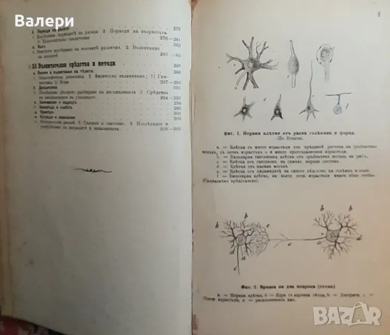 Антикварна книга - Ръководство по педагогическа психология-1904г. , снимка 5 - Антикварни и старинни предмети - 48636117