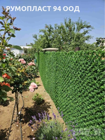 Декоративна оградна мрежа жив плет 10м. топ височина от 1м. до 2м., снимка 2 - Огради и мрежи - 53621688