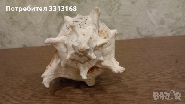 Раковина , снимка 5 - Декорация за дома - 52192638