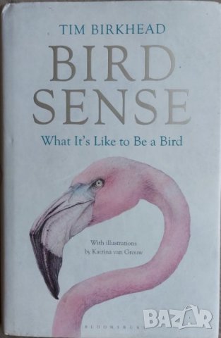 Bird Sense: What It's Like to Be a Bird (Tim Birkhead)