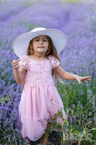 лавандилова сесия на 5мин.Пловдив , снимка 2 - Фотографи - 50738156