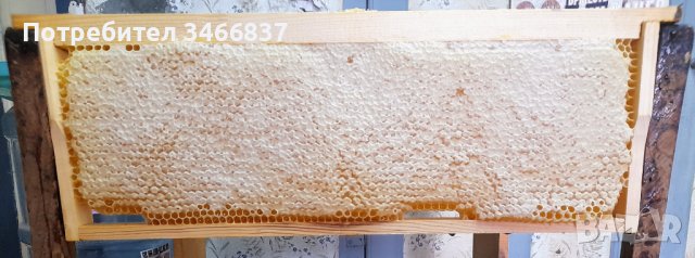 Натурален пчелен мед букет реколта 2023, снимка 5 - Пчелни продукти - 41571904