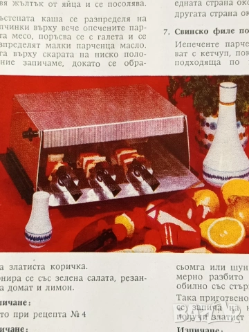 Ръководство за обслужване + рецепти на парти грил AKA 