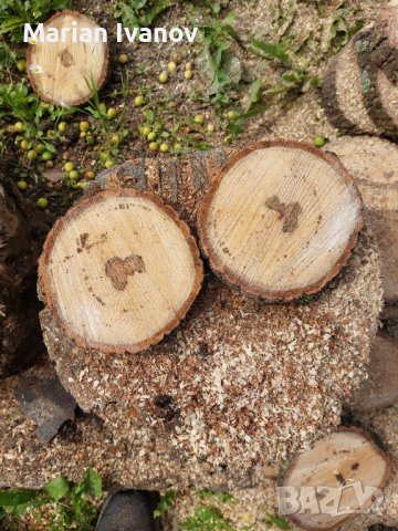 Дървени шайби!!!, снимка 1