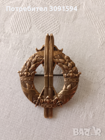 Колекционерска значка ,шведска военна ски част ,Втората световната