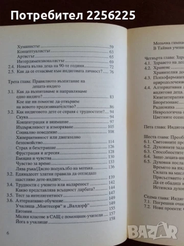 Децата на новото хилядолетие, снимка 8 - Художествена литература - 50844857