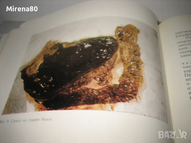 Клинична токсикология - 1972 г., снимка 5 - Специализирана литература - 48868523