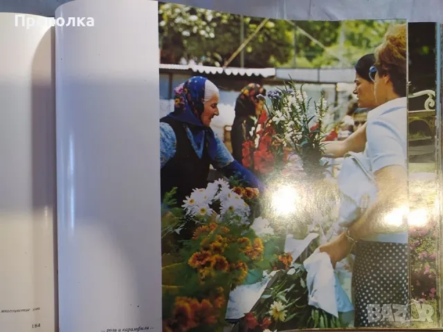  Енциклопедичен фотоалбум София 100г. и България 1300г. изд.1979г. , снимка 7 - Енциклопедии, справочници - 48513240