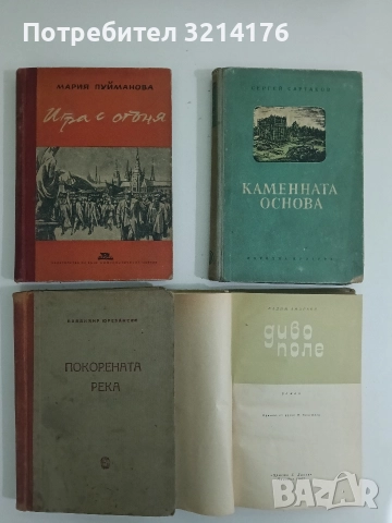 Диво поле - Вадим Андреев, снимка 2 - Художествена литература - 52746176