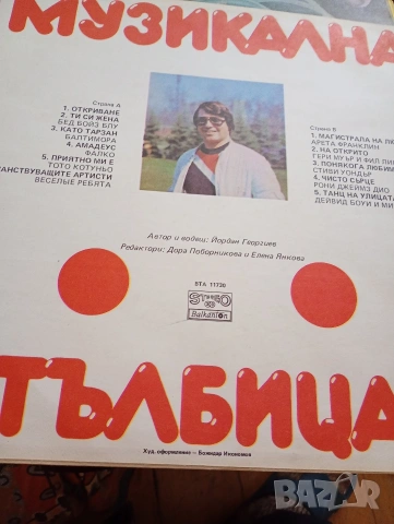 Грамофонни плочи, хитове със забавна музика, световно известни изпълнители , снимка 8 - Грамофонни плочи - 53150774