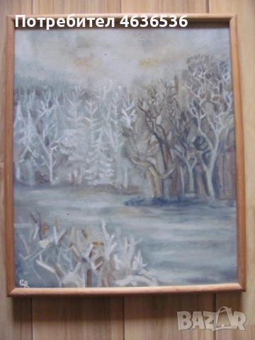 Красива Картина масло, платно ,художник Силвия Радева,подпис