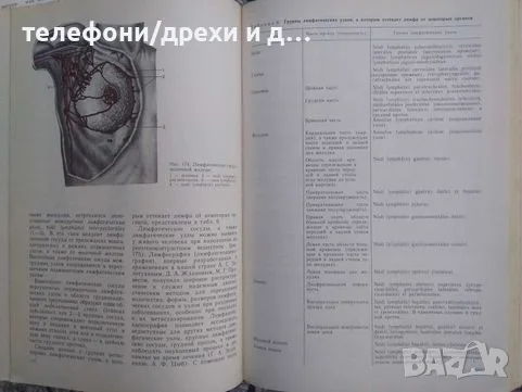 Анатомия человека. Том 1-2 (1986), снимка 2 - Други - 56138099