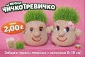 МИНИ ЧИЧКО ТРЕВИЧКО , снимка 1
