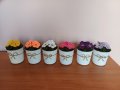 Декоративни плетени цветя в саксийки, снимка 10