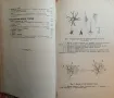 Антикварна книга - Ръководство по педагогическа психология-1904г. , снимка 5