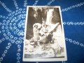 Стара картичка-снимка жени с чадъри