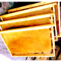 Продавам изградена пчелни рамки МК , снимка 1 - За пчели - 44628766