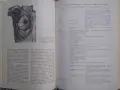 Анатомия человека. Том 1-2 (1986), снимка 2