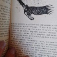 Господарят на залива; Носителят на гръмотевици - Роджър Карас, снимка 3 - Художествена литература - 41737965