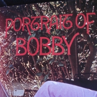 BOBBY SHERMAN, снимка 5 - Грамофонни плочи - 36055840
