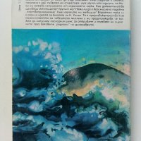 Загадката на Лох Нес - Никълъс Уичъл - 1988г, снимка 4 - Художествена литература - 42248826