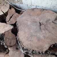 дървен материал - круша, снимка 4 - Други - 41812433