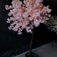 Изкуствени дръвчета японска вишна, снимка 6 - Градински цветя и растения - 40157119