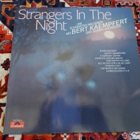 Strangers In The Night, снимка 1 - Грамофонни плочи - 36101422