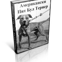 Американски Питбул териер , снимка 1 - Други - 40390383