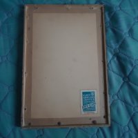 Стара литография пантография снимка за интериор картина , снимка 6 - Картини - 39836065