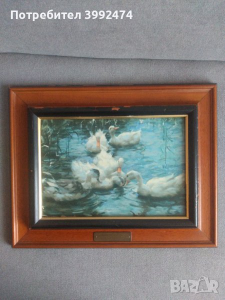 Една по-различна Картина, снимка 1