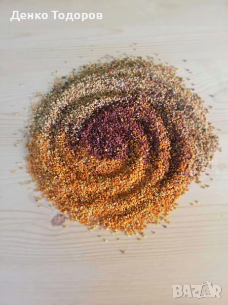 Горски Пчелен Прашец от резерват с. Сребърна, снимка 1