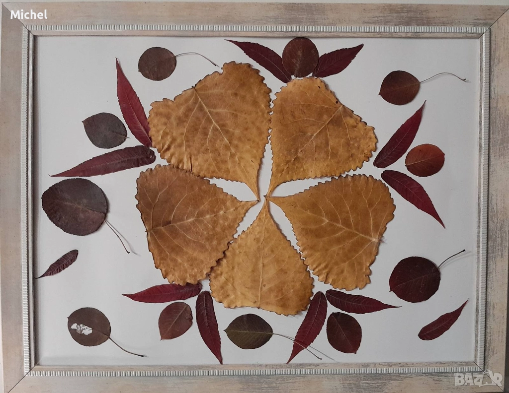 Колаж от хербарий  на красиви есенни листа, снимка 1