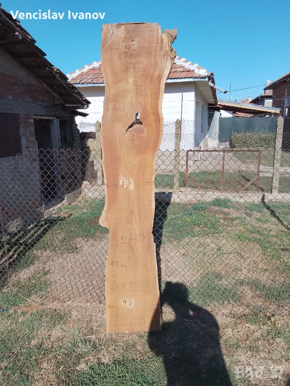 Сух ян от Черница, снимка 1