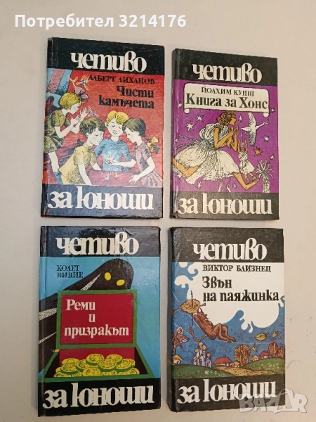 Реми и призракът - Колет Вивие, снимка 1