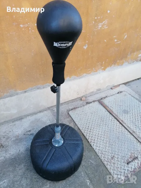 Бърза боксова круша , снимка 1