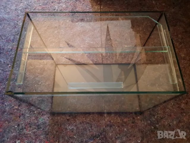 Дафния и Витамини на люспи - Храна за аквариумни рибки, снимка 5 - Други - 47883030