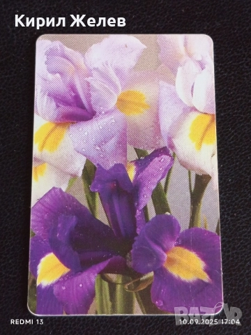 Четири фонокарти БУЛ ФОН тема ЦВЕТЯ редки за КОЛЕКЦИЯ ДЕКОРАЦИЯ 41204, снимка 3 - Други ценни предмети - 51668860