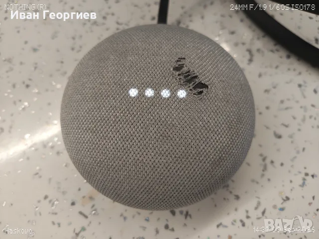 Google Nest Mini 