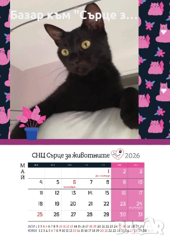 Благотворителен календар с подарък и бродирани пирамидки, снимка 5 - Други стоки за животни - 34917469