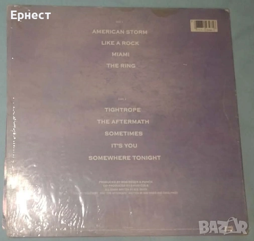 Грамофонни плочи 70-тарски рок и смес със саурърн рок, снимка 2 - Грамофонни плочи - 32572101