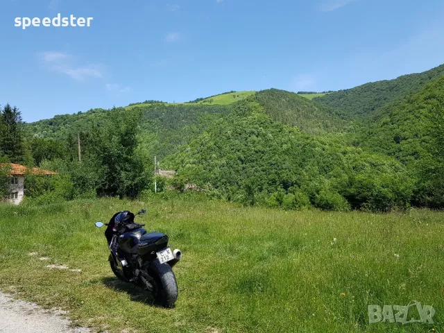 Рибарица 3000 кв.м. парцел и изграден до кота 0 стр., снимка 9 - Парцели - 50045804