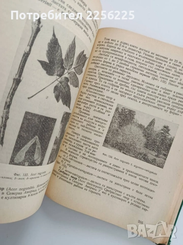Декоративна дендрология, снимка 9 - Специализирана литература - 53822646