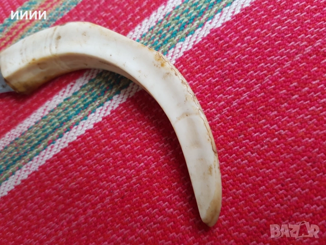 Нож бивна глиган , снимка 3 - Антикварни и старинни предмети - 52749523