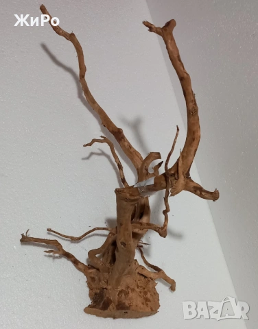 Корен от Азалия /декорация/ 8, снимка 3 - Други - 48577917