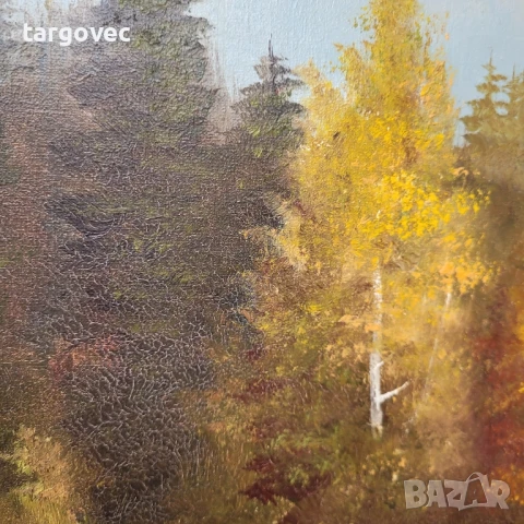 Прекрасна картина пейзаж масло на платно, снимка 3 - Антикварни и старинни предмети - 41778598