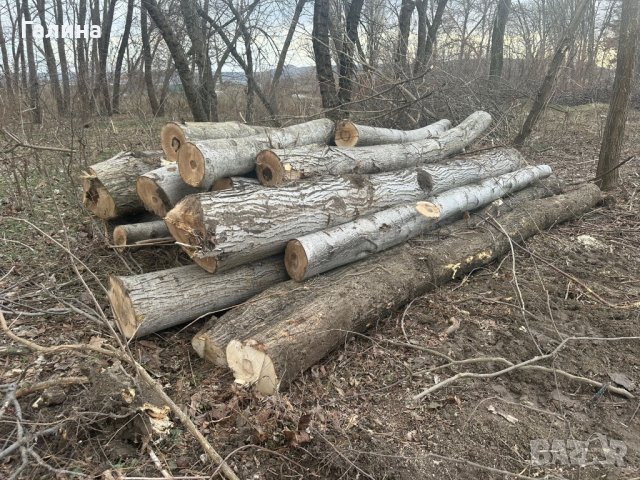 Продавам дърва орехи 