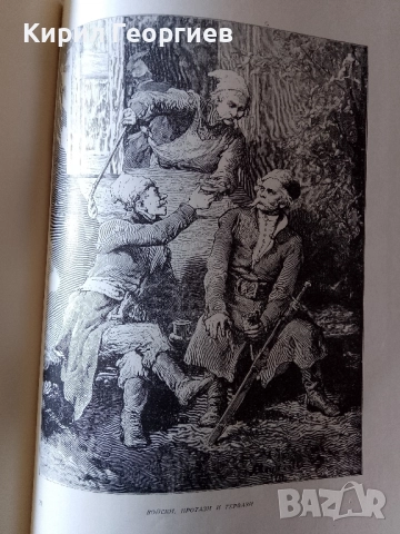 Пан Тадеуш Или последна саморазправа в Литва, снимка 4 - Художествена литература - 52376870