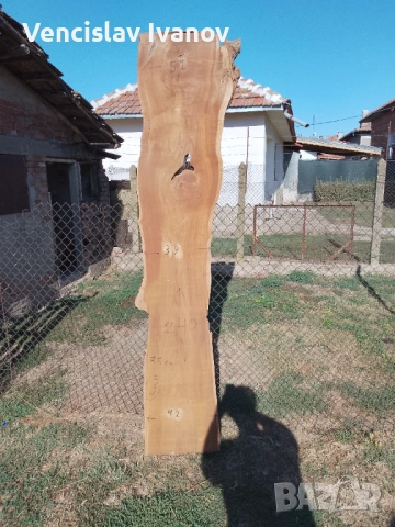 Сух ян от Черница