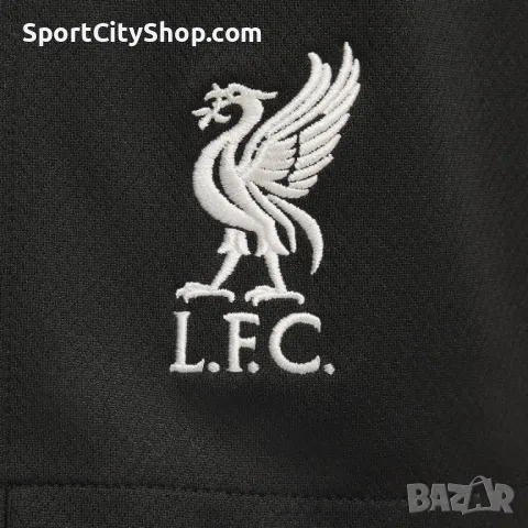 Мъжки шорти Nike Liverpool F.C. 2024/25 Stadium Away FV7037-321, снимка 5 - Къси панталони - 48308815